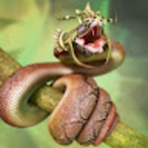 Meet your Posher, Burmese